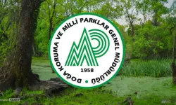 Doğa Koruma ve Milli Parklar 92 Sözleşmeli Personel Alacak
