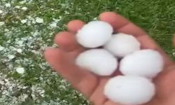 Ceviz büyüklüğünde yağan dolu zor anlar yaşattı