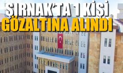 Şırnak’ta DEAŞ’a Yönelik Operasyon, 1 Gözaltı
