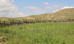 Cizre’de İmar İhlaline Yıkım Müdahalesi