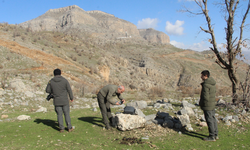 Yaban Hayatı İçin Seferberlik, Şırnak’ta Sıkı Denetim