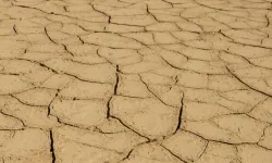 Süper El Nino uyarısı, Aşırı sıcak ve kuraklık riski