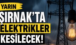 DEDAŞ’tan Şırnak ve İlçeleri İçin Kritik Uyarı