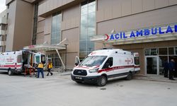 Haber alınamayan doktor evinde ölü bulundu