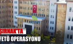 Şırnak’ta FETÖ operasyonu, 3 gözaltı