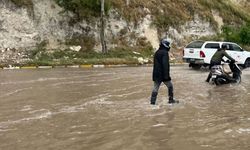 Fırat Nehri taştı, her yeri su bastı