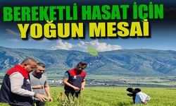 Silopi’de bereketli hasat için yoğun mesai