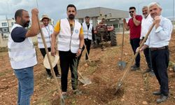 Silopi’de hastane bahçesine 450 fidan dikildi