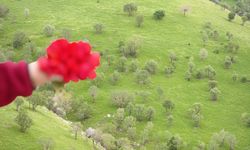 Kameranı Al Gel, Şırnak'ta Büyük Ödüllü Fotoğraf Yarışması