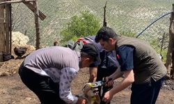 Şırnak’ta Hayvan Sağlığı İçin Ekiplerden Saha Seferberliği