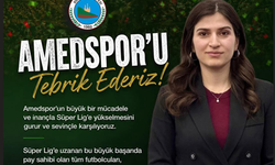 Başkan Ormanlı’dan Amedspor’a Tebrik