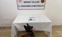 Şırnak’ta Dev Operasyon, 105 Şüpheliye İşlem