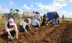 Cizre'de Ezber Bozan Proje, Kadın Bostanı Kuruldu