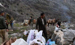 Şırnak’ta Pancar Zamanı, At Sırtında Gelen Bereket