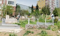 Şırnak Mezarlıklarında Bakım Çalışmaları Sürüyor