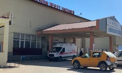 Patlama Faciası, Çoban Yaralandı, Hayvanlar Telef Oldu