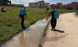 Silopi’de Sivrisinek ve Larvaya Karşı Sahada Yoğun Çalışma