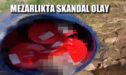 Mezarlıkta plastik kutularda 21 cenin bulundu