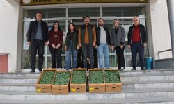 Seralara yönelik fide desteği üreticinin yüzünü güldürdü
