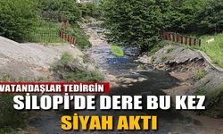 Silopi’de dere bu kez siyah aktı vatandaşlar TEDİRGİN