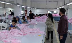 Şırnak’ta Gabar Eteklerinde Üretim