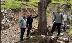 Uludere’de Uygulamalı Ceviz Aşısı Eğitimi