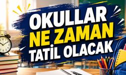 Şırnak’ta okullar ne zaman kapanacak? MEB takvimi netleşti