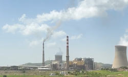 Termik santral ve hastalıklar, Vekil İrmez Silopi’den uyardı