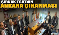 Şırnak TSO’dan Ankara çıkarması