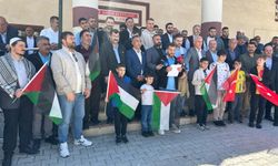 Şırnak’ta STK’lardan Sumud Filosu saldırısına tepki
