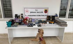 Şırnak’ta Dev Operasyon, 117 Şüpheliye İşlem