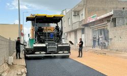 Silopi’de ertelenen yol çalışmaları yeniden başlatıldı