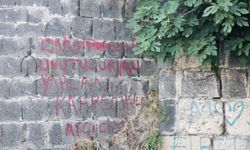 Cizre’nin Tarihi Kimliğine Zarar Veren Görüntü