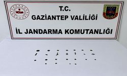19 adet tarihi eser sikke ele geçirildi, 1 gözaltı