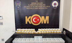 Şırnak’ta 2,5 Milyon Liralık Kaçak İlaç Yakalandı