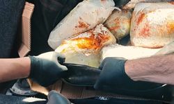 60 kilogram skunk ele geçirildi 1 gözaltı