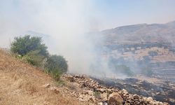 Mardin'de çıkan yangına müdahale ediliyor