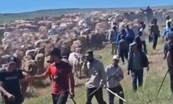 Köylüler arasında 'arazi' kavgası: 2 yaralı