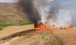 150 dönümlük buğday tarlası yangında zarar gördü