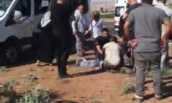 Para nakil aracı ile minibüs çarpıştı, 15 yaralı