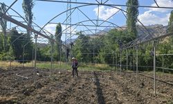 Şırnak’ta sera yatırımları yerinde incelendi