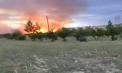 Yangın buğday tarlasını küle çevirdi