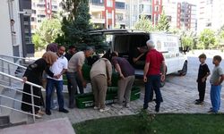 Bir hafta önce taşındığı evde ölü bulundu