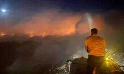 Belediyeden Hızlı Müdahale Yangın Büyümeden Söndürüldü