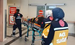 Devrilen kamyonun sürücüsü yaralandı
