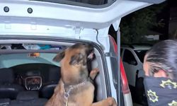 Uyarıcı madde operasyonunda 4 tutuklama