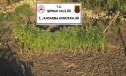 Şırnak'ta JASAT Bir Haftada 42 Aranan Şahsı Yakaladı