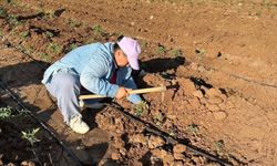 Cizre Belediyesi’nin Kadın Projesi Meyvelerini Veriyor