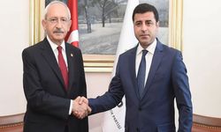 Demirtaş, Kemal Kılıçdaroğlu ile görüşecek mi?