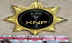 Torbacılara narkotik darbesi, 1 kişi tutuklandı